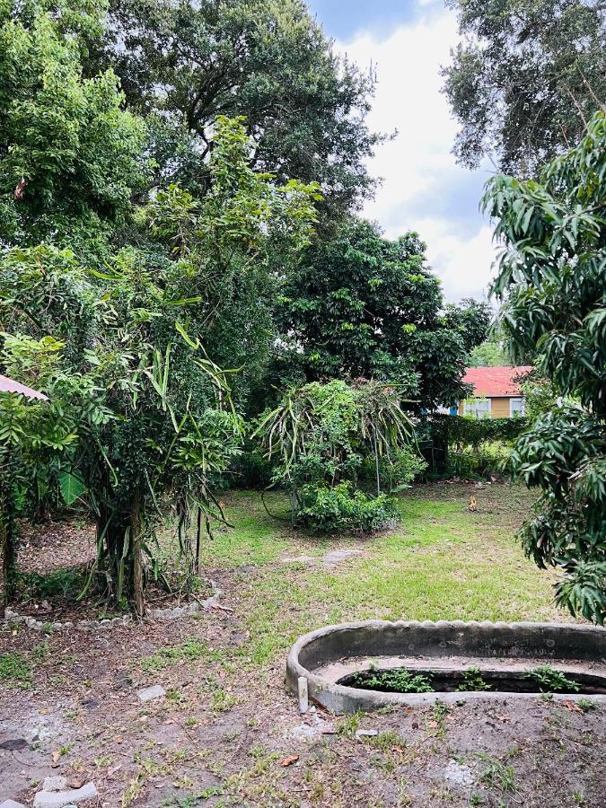 3Bdrm Fruit Tree Home Near Downtown Orlando Luaran gambar