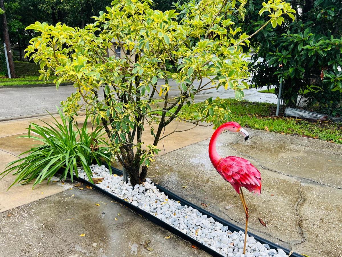 3Bdrm Fruit Tree Home Near Downtown Orlando Luaran gambar